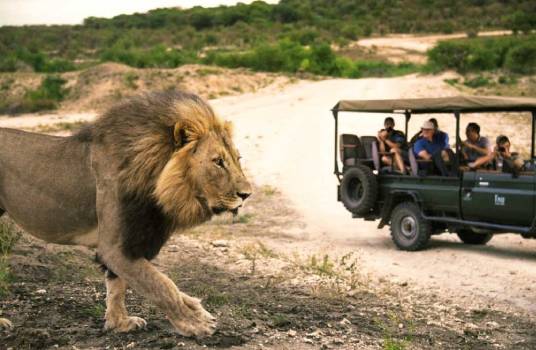 Africa